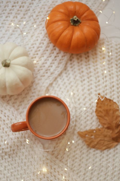 Free Warm autumn composition featuring coffee, pumpkins, and fairy lights on a knitted blanket. Stock Photo