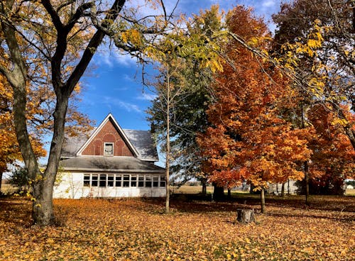 Darmowe zdjęcie z galerii z czerwone drzewa, jesienne liście, stary dom jesienią