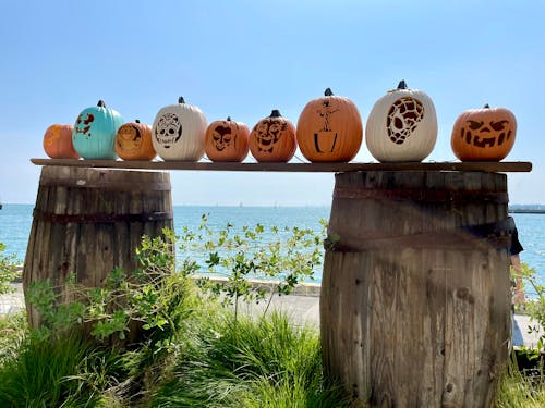 Δωρεάν στοκ φωτογραφιών με halloween, πολύχρωμες κολοκύθες, σκαλισμένη κολοκύθα