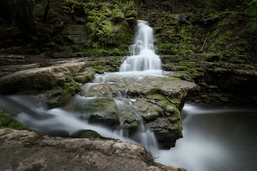 Waterfalls in the Forest