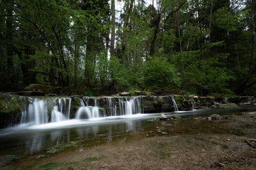 Imagine de stoc gratuită din apă curgătoare, cascade, codru