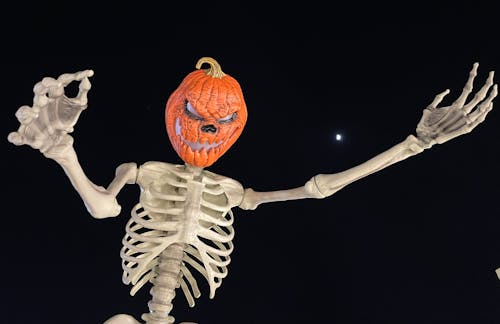 Darmowe zdjęcie z galerii z dynia, dynia na halloween, szkielet