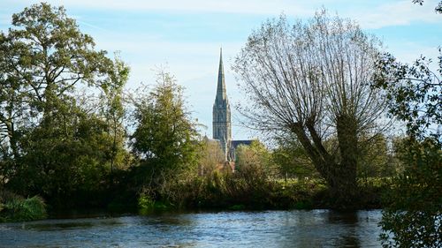 Free A serene view of Salisbury Cathedral surrounded by trees and a river in summer. Stock Photo
