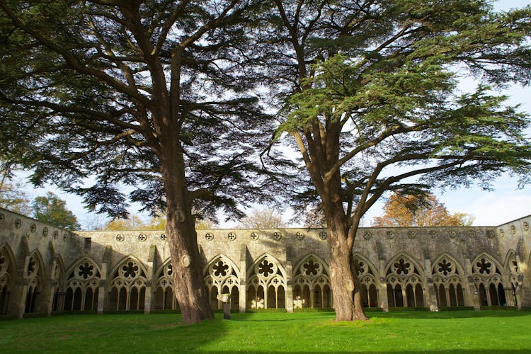 Salisbury Cathedral