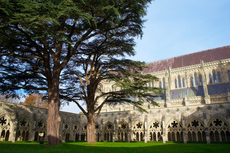 Cloisters Of Salisbury Cathedral