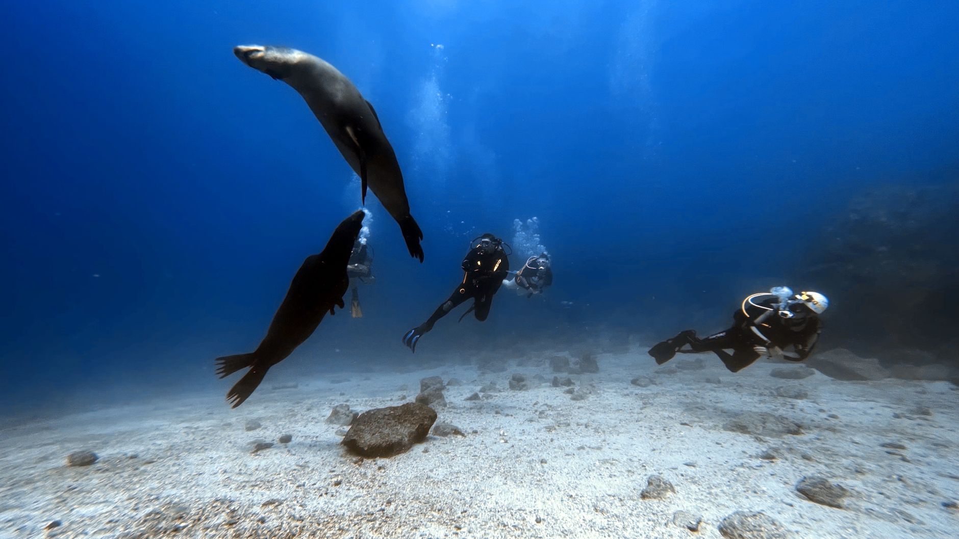 Photo de Galápagos Islands