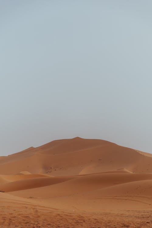 Sand Dune in the Desert