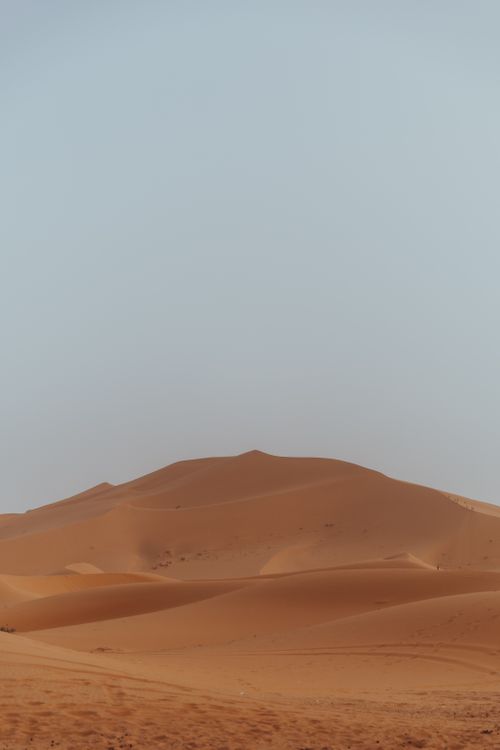 Free Captivating view of vast sand dunes under a clear blue sky, showcasing the beauty of the desert landscape. Stock Photo