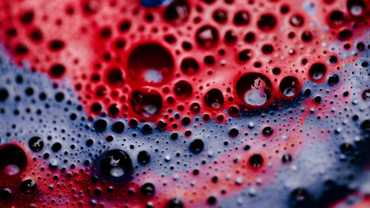 Foam And Bubbles On Liquid