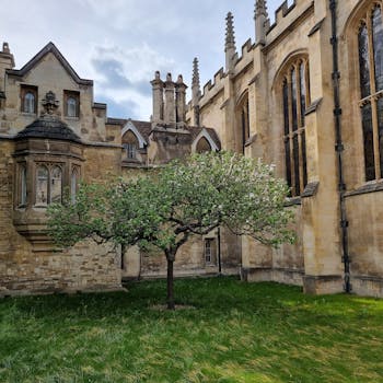 Cambridge