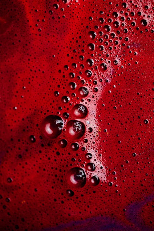 Close-Up Shot of a Red Liquid