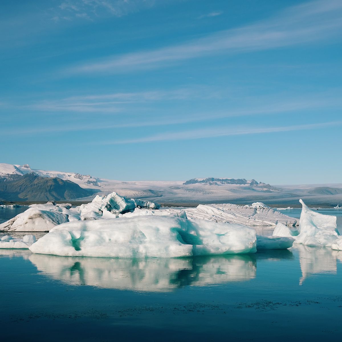 Broken sheets of sea ice floating on still Arctic water with no wildlife in sight.