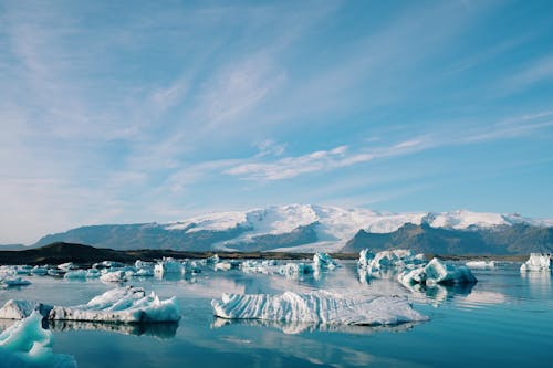 Základová fotografie zdarma na téma jezero, led, příroda