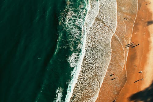 Free Bird's Eye View of Seashore Stock Photo