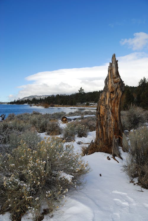 A Rock Formation on a Snow-Covered Field