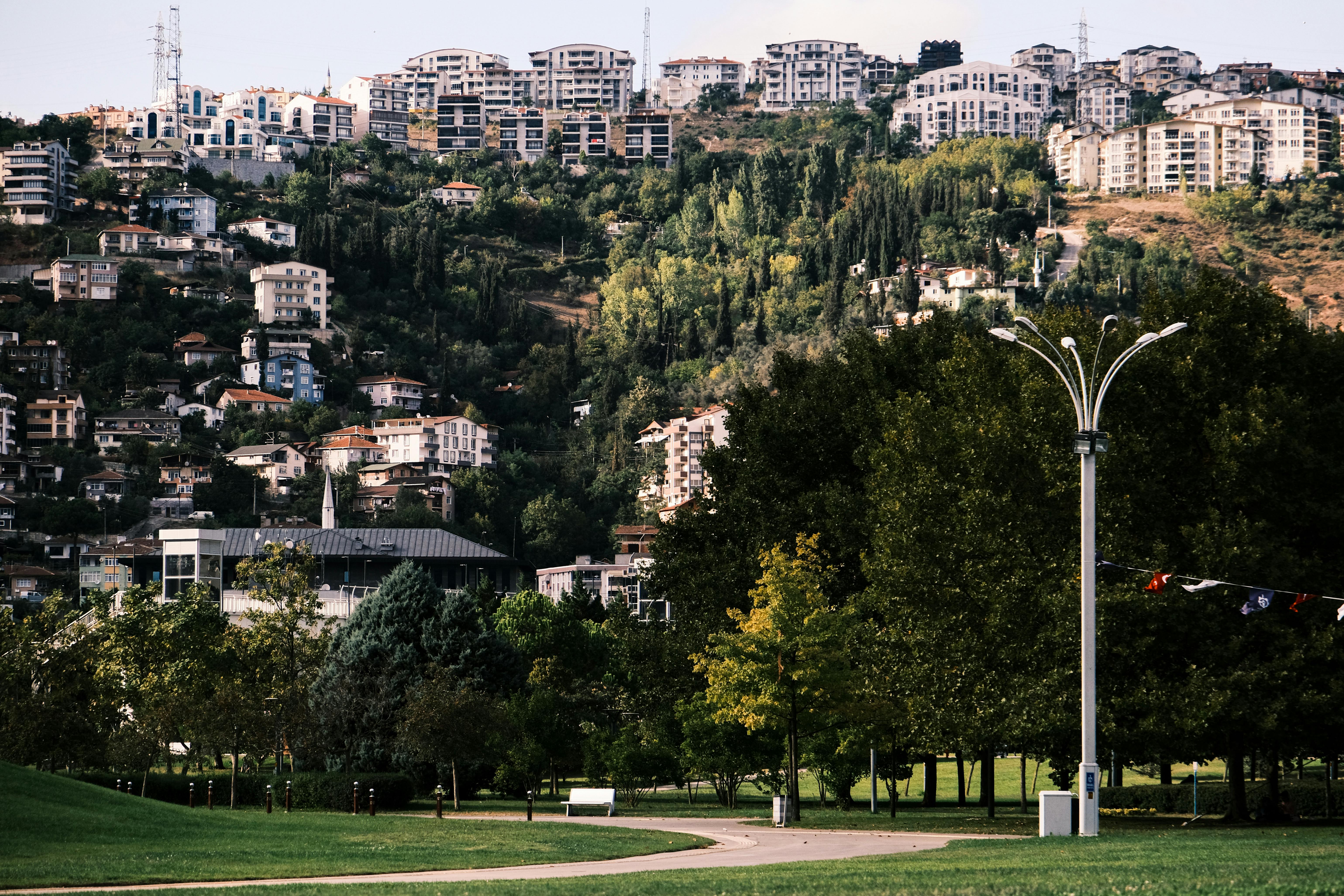 Are reels better than posts?