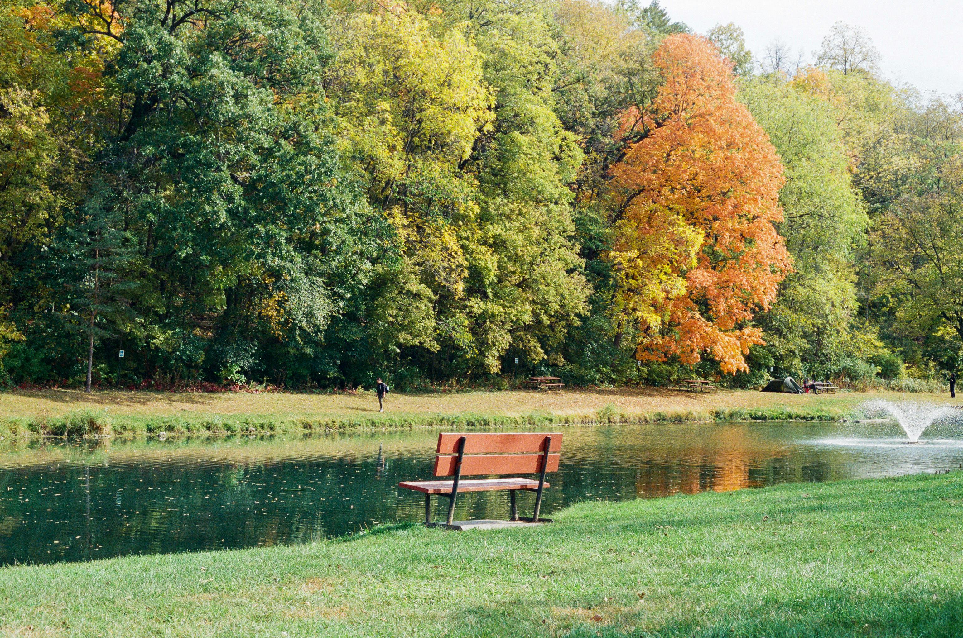 brown wooden bench near lake