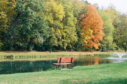 A peaceful park scene with autumn trees, a bench by the river, and a fountain.