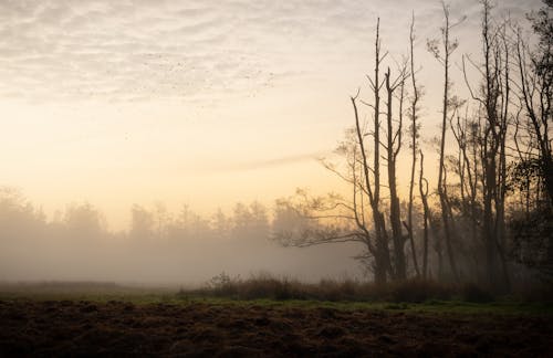 Weather Or Climate? The Mix-Up That Matters Most