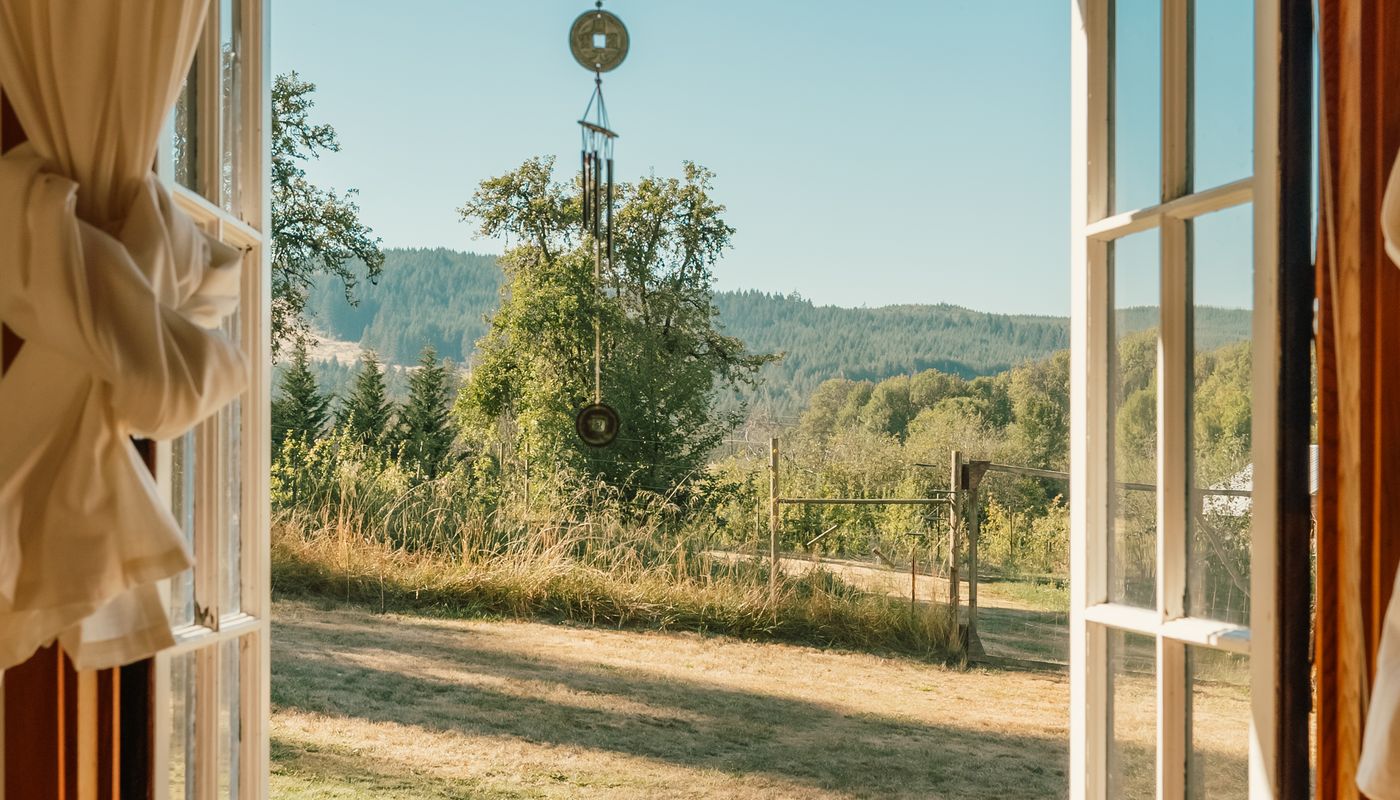 avoid the flu — Yard Seen Through Open Window · Free. Photo: Pexels