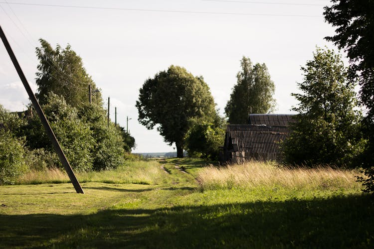 Grassy Road In Countryside