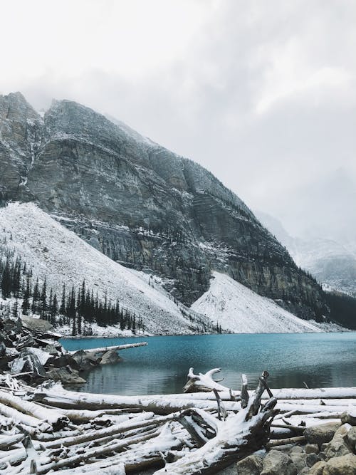 Foto profissional grátis de Banff, Canadá, inverno