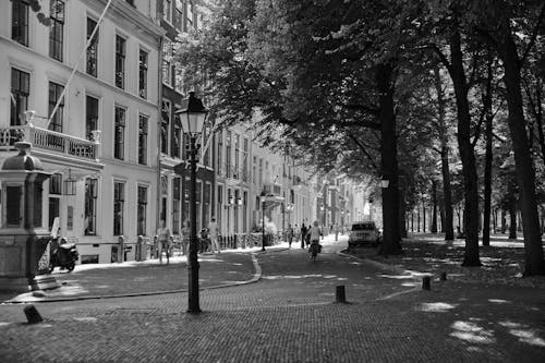 Základová fotografie zdarma na téma budovy, černobílý, chůze