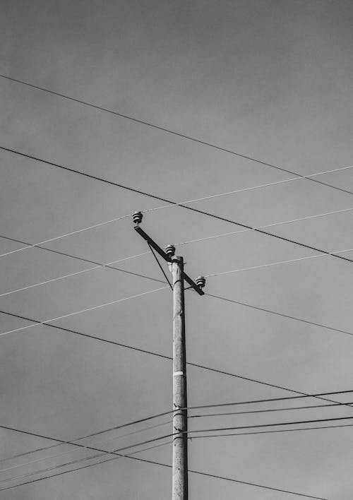Black and White Photo of Electric Lines