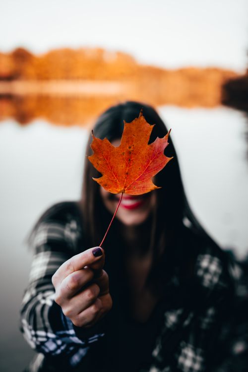 Free A woman holding a maple leaf with a blurred lake and trees in the background, capturing a serene autumn moment. Stock Photo
