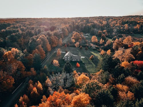 Aerial Photography of a Lone House in the Countryside during Autumn Season
