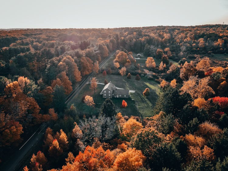 Aerial Photography Of A Lone House In The Countryside During Autumn Season