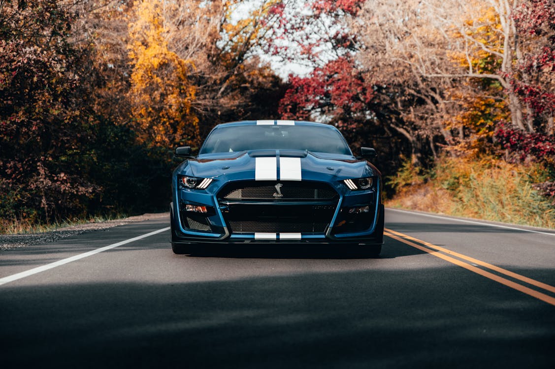 Photo of Blue Mustang on Road