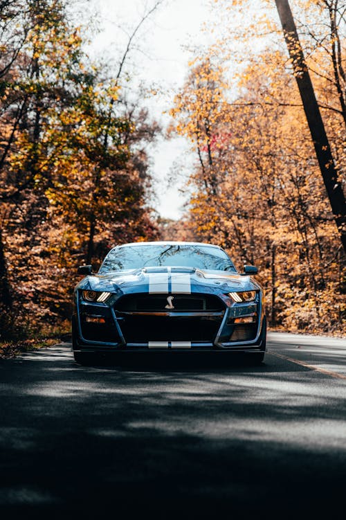 Photo of a Blue Muscle Car