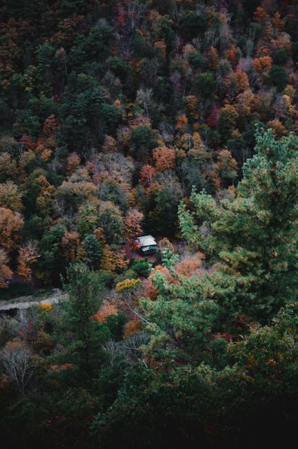 Aerial view of a cabin nestled within vibrant autumn foliage in Watkins Glen, NY.
