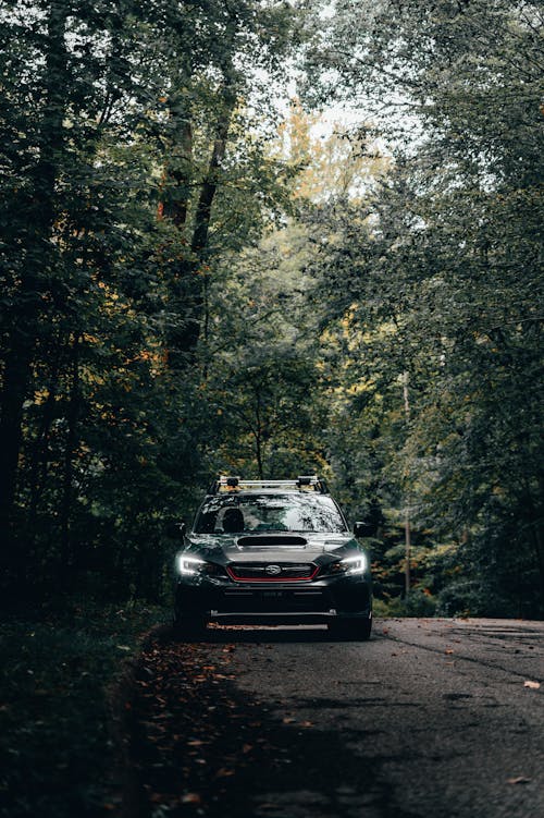 Photo of Black Car near Trees