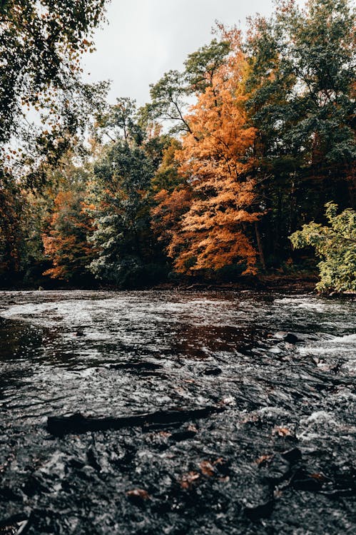 Water Flowing in the River