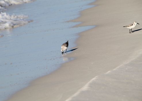 Bon Secour National Wildlife Refuge near Gulf Shores