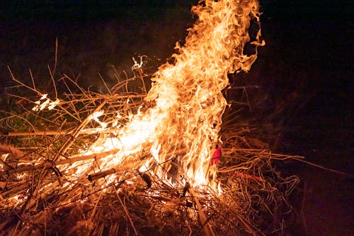 Close-up of a Burning Pile of Sticks 