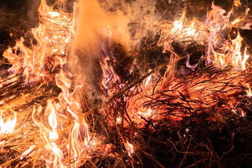Free Close Up Photo of Fire Stock Photo