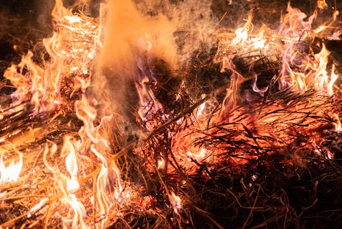 Gratis lagerfoto af brænding, brand, flamme