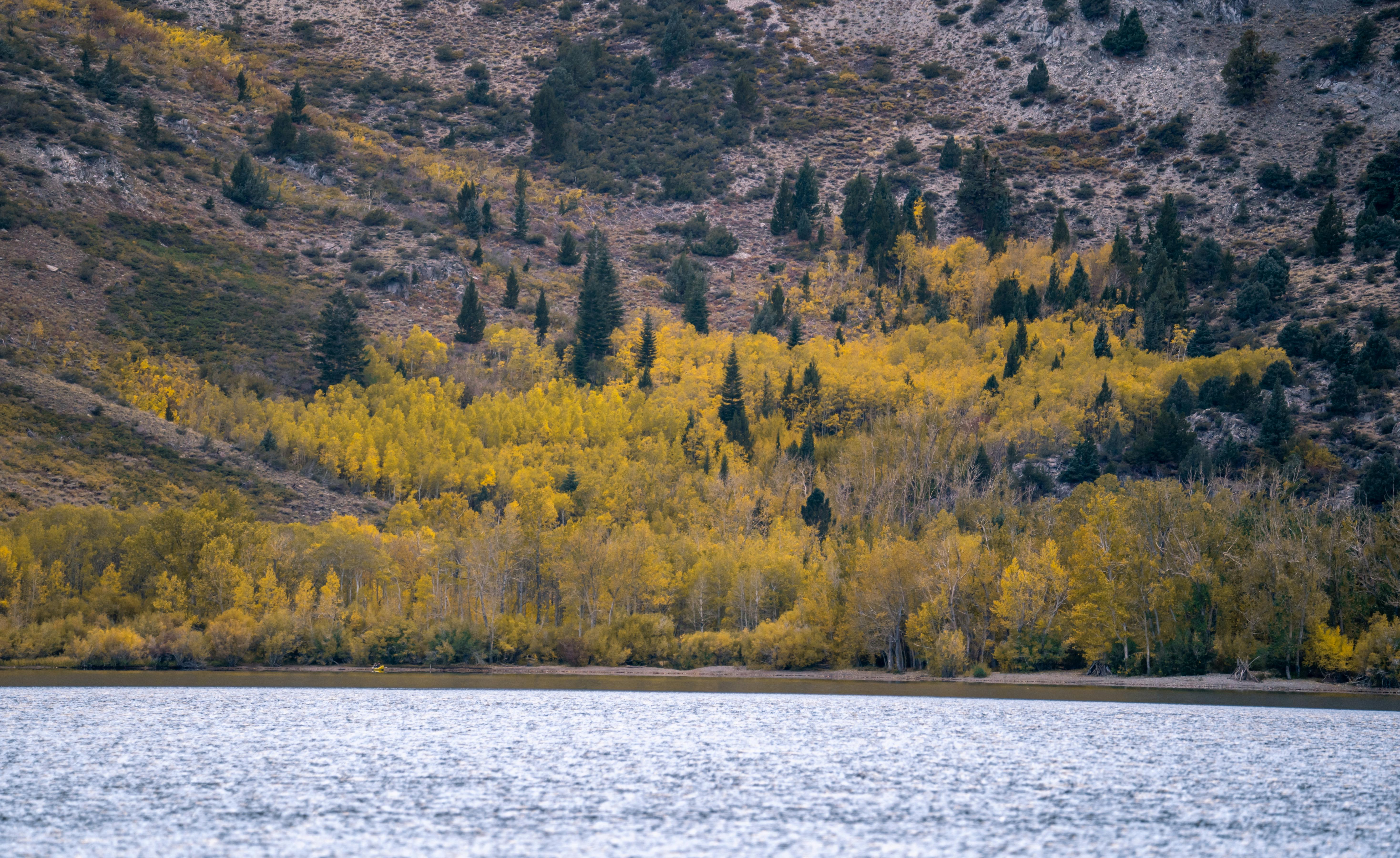 fall colors convict lake