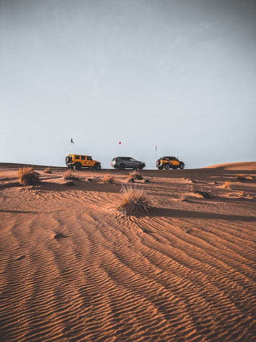 View of Cars Driving in a Desert 