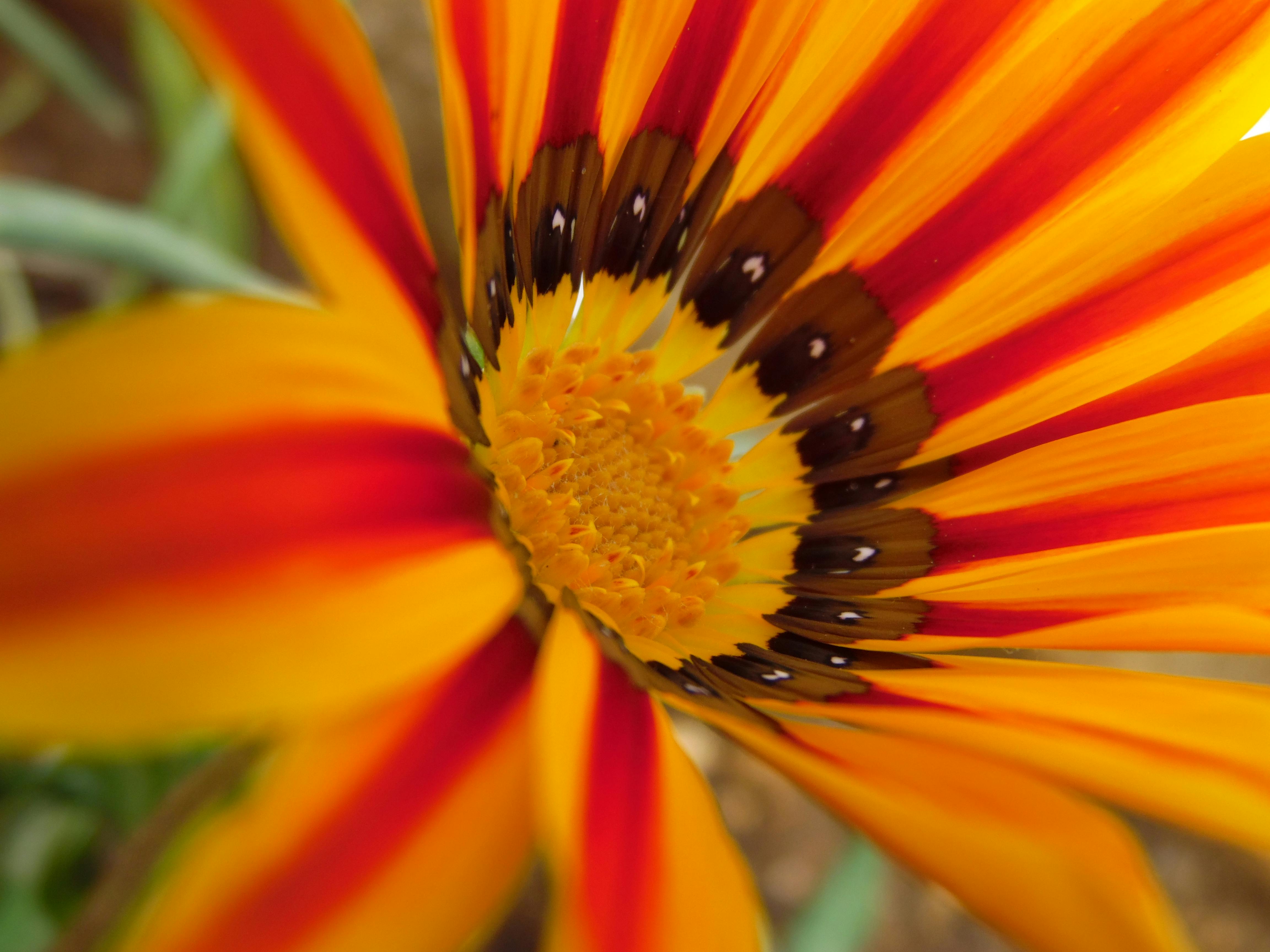 What's The Difference Between Coveralls And Overalls Difference