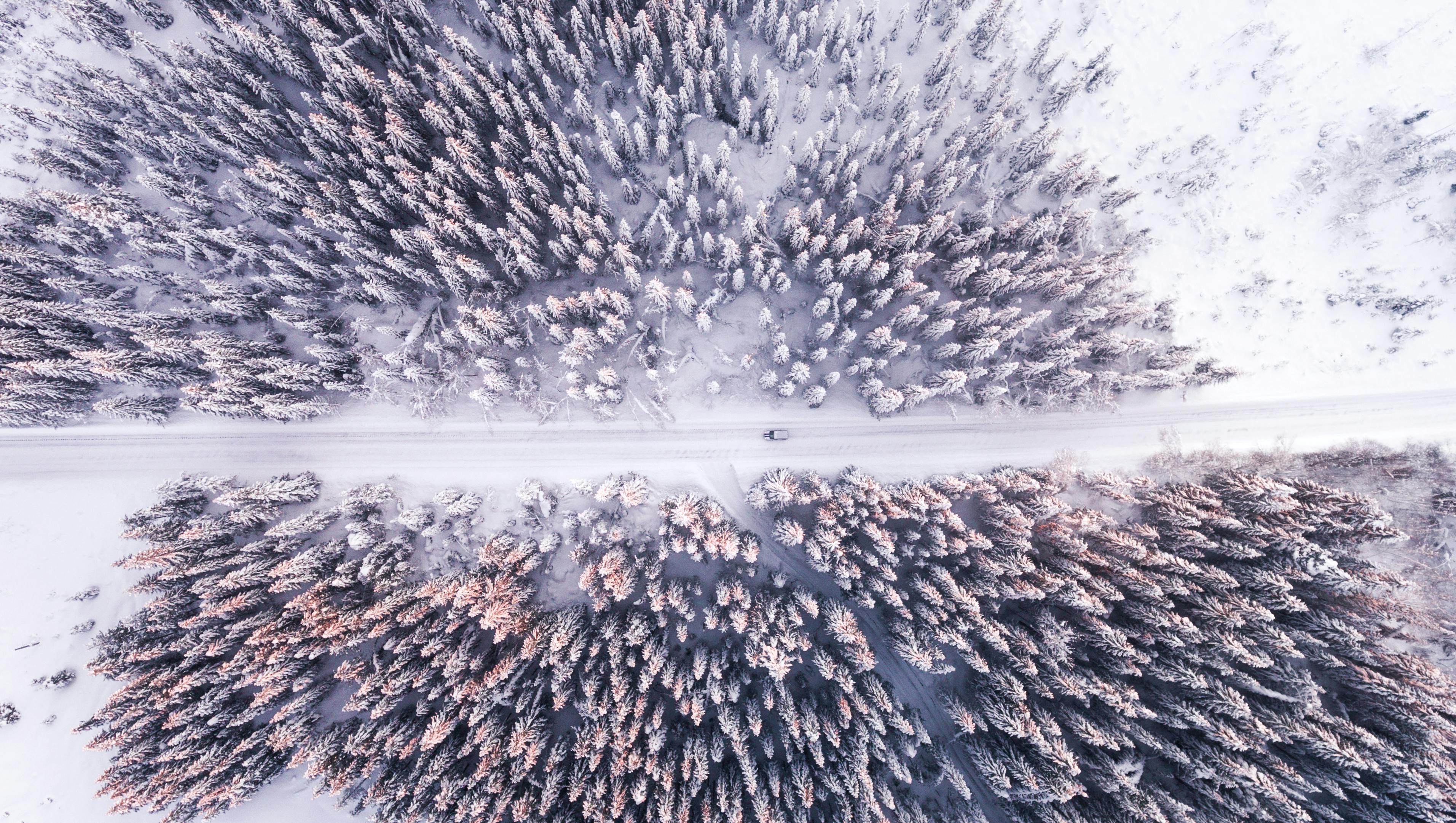 航拍展示冬季白雪皑皑的森林与道路，呈现大自然的美丽