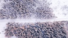 航拍展示冬季白雪皑皑的森林与道路，呈现大自然的美丽