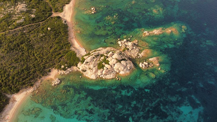 Green Island In Ocean