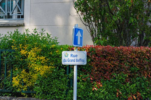 거리, 구시가지, 도로 표지판의 무료 스톡 사진
