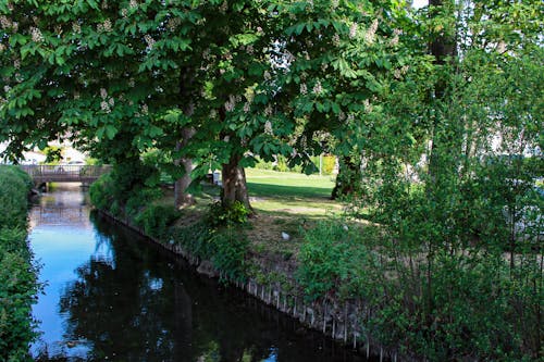 Free stock photo of bridge, chambly, french town