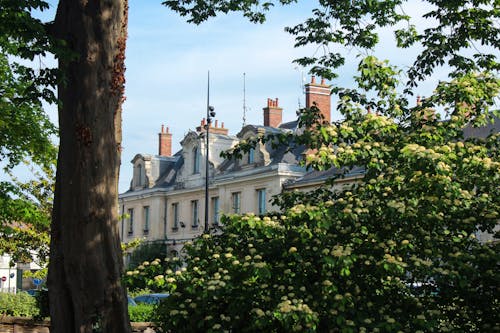 Free stock photo of architecture, chambly, french town