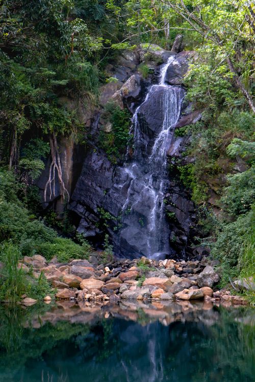 Free Scenic waterfall in Sri Lanka's tropical forest, perfect for nature enthusiasts. Stock Photo